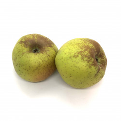 Manzana Reineta