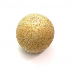 Melón Galia