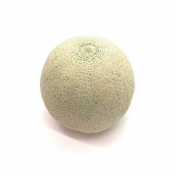 Melón Cantaloupe
