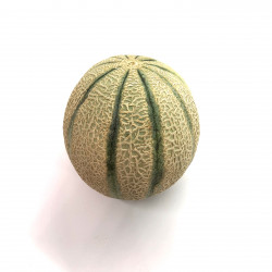 Melón Charentais