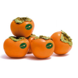 Kaki	Sharoni