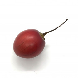 Tamarillo Rojo