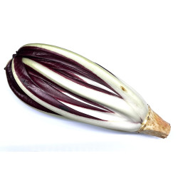 Radicchio Tardivo