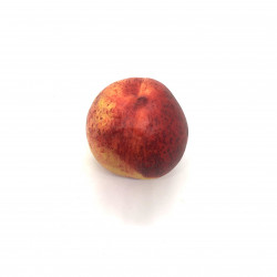 Nectarina