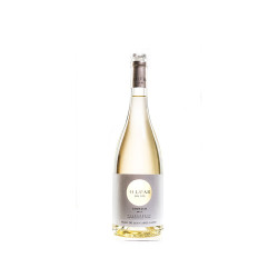 O LUAR DO SIL GODELLO