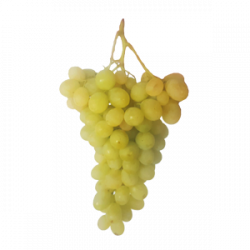 Uva Blanca