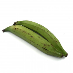 Plátano macho