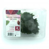 Shiso verde hoja