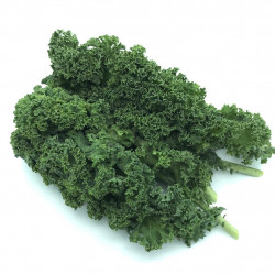 Kale Rizado