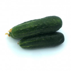 Pepino