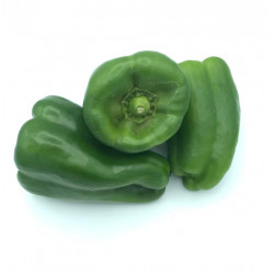 Pimiento Verde