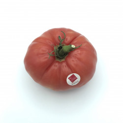 Tomate rosa