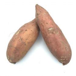 Batata