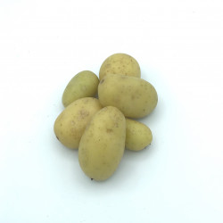 Patatas Primor