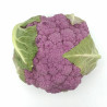 Coliflor de colores