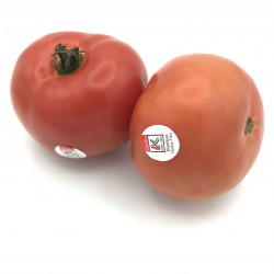 Tomate Vasco