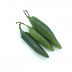 Chile serrano