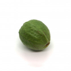 Guayaba White