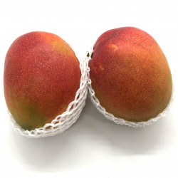 Mango Kent